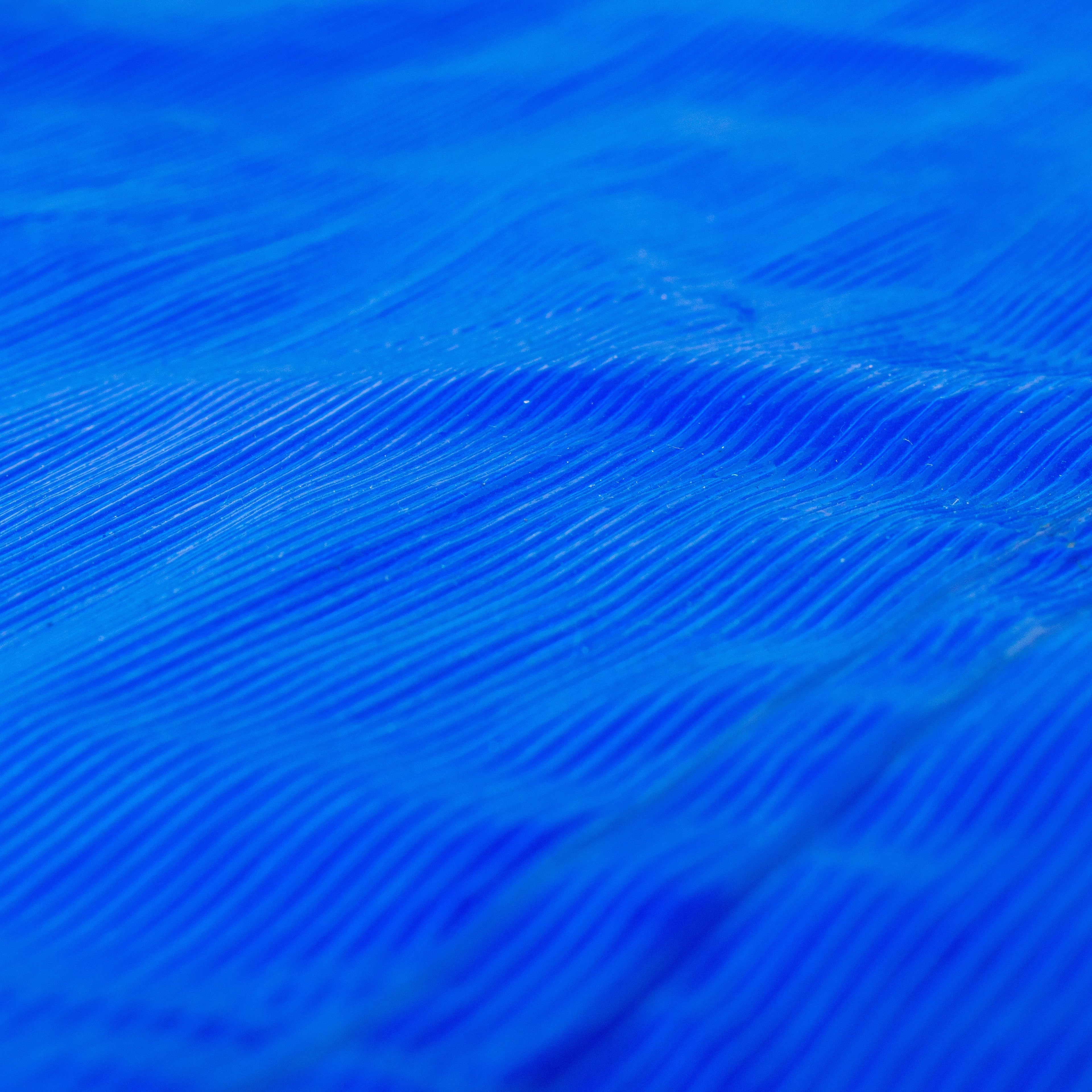M-Grade Blue LLDPE Tarpaulin 4m x 5m Tarp Sheet Cover Waterproof All-weather Cover Outdoor Sheeting Flexible Sheet_8
