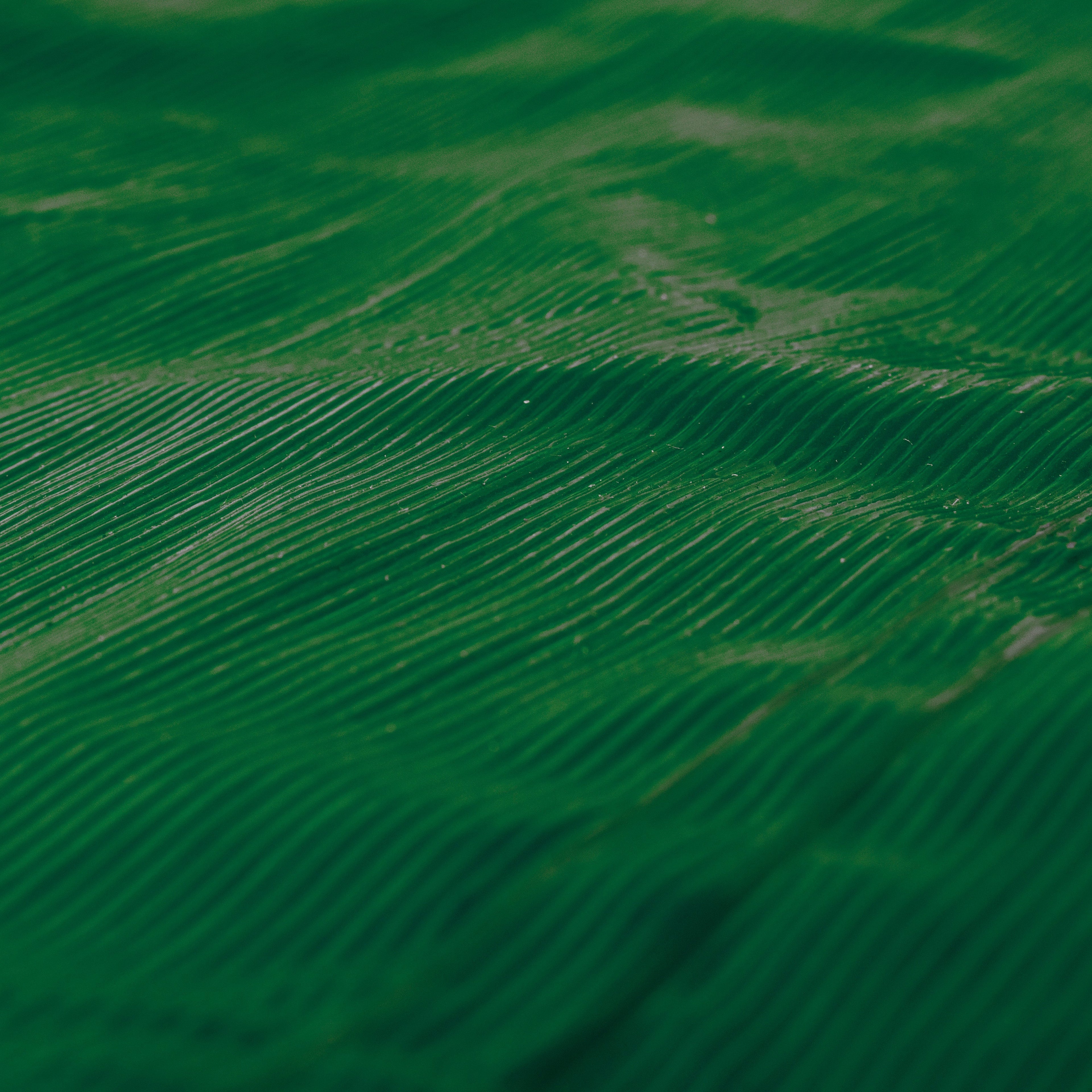 M-Grade Green LLDPE Tarpaulin 1.5m x 2m Tarp Sheet Cover Waterproof All-weather Cover Outdoor Sheeting Flexible Sheet_6